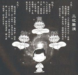 三花聚頂意思|三花聚頂的解釋